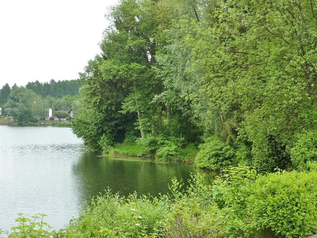Business + Life Apartment Ferienwohnung Ransbach-Baumbach 外观 照片